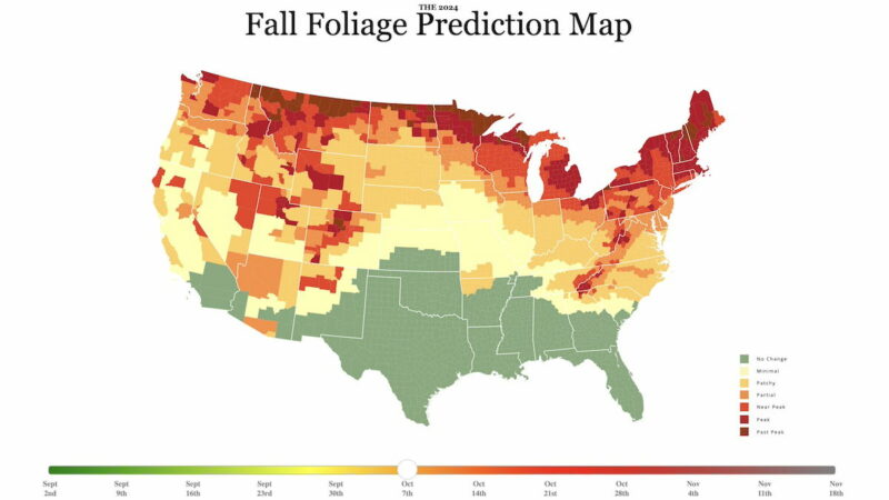 Use This Fall Foliage Tracker to Figure out Where to Go and When