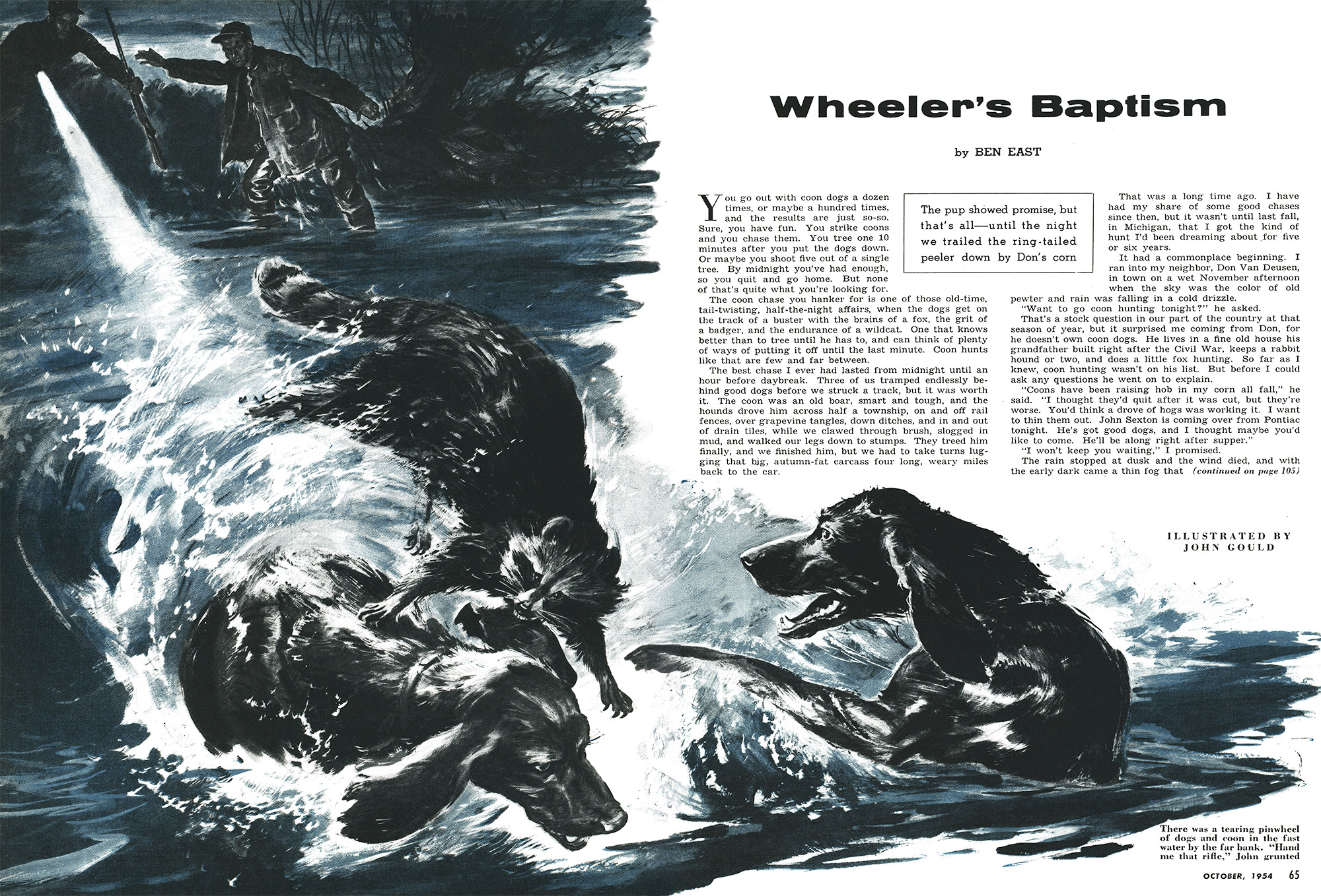 A two-page magazine spread of an old raccoon hunting story.