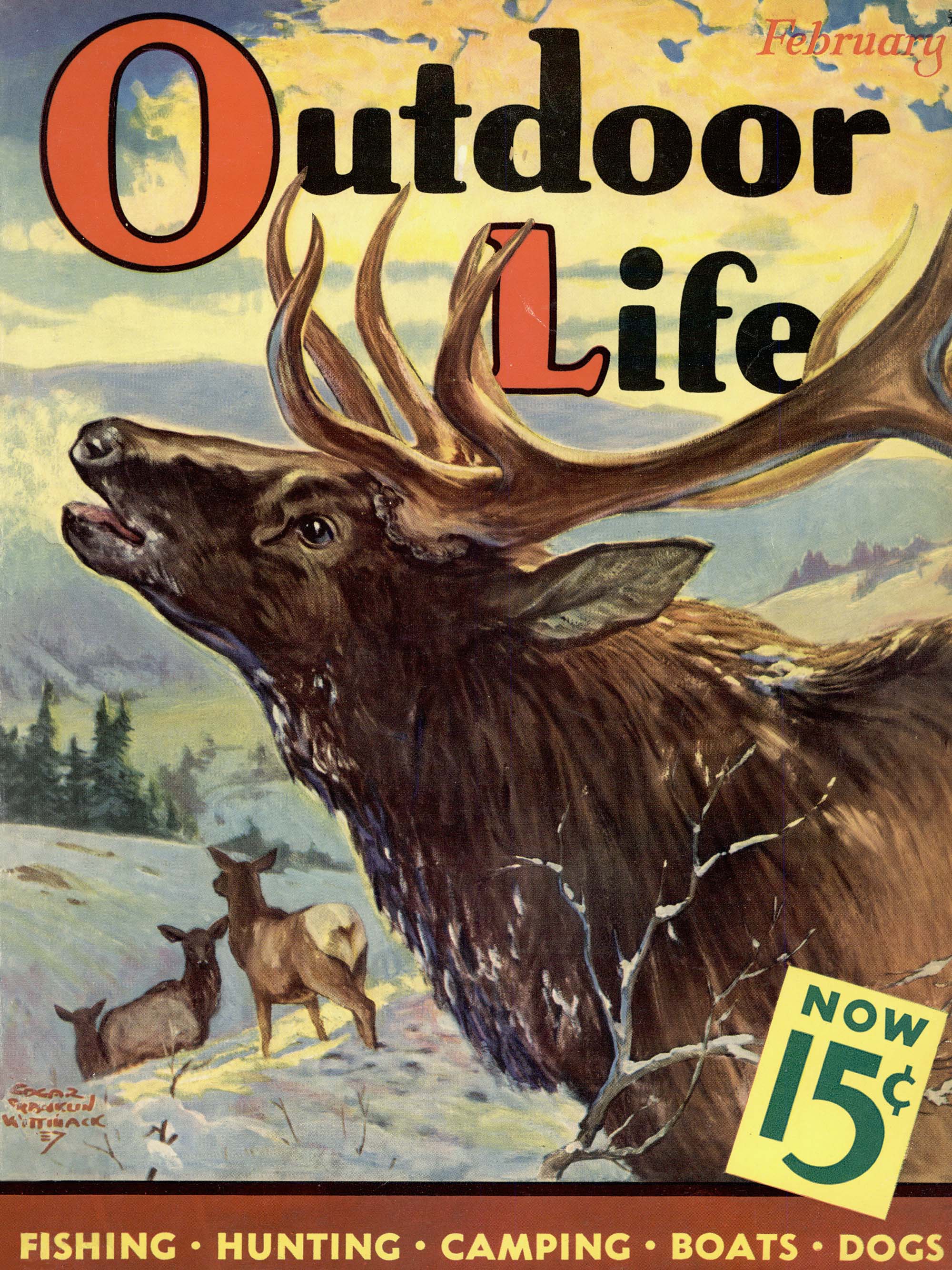 The Feb. 1938 cover of Outdoor Life shows a bugling bull.