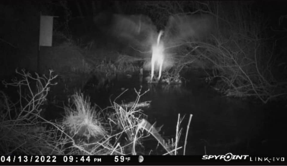 spooky trail camera photo