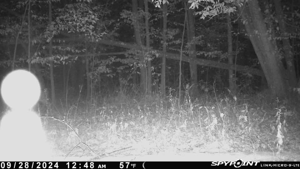 spooky trail cam