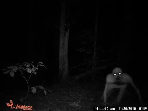 spooky trail camera photo