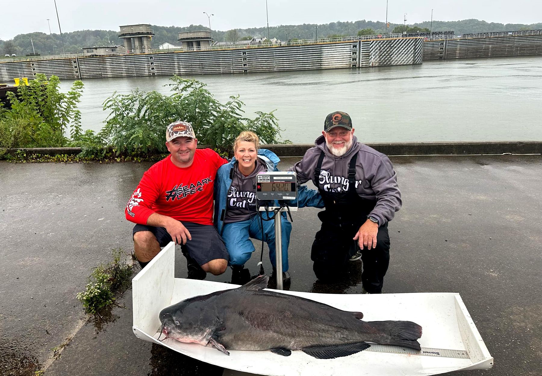 Three anglers pose with a big blue catfish on a scale.