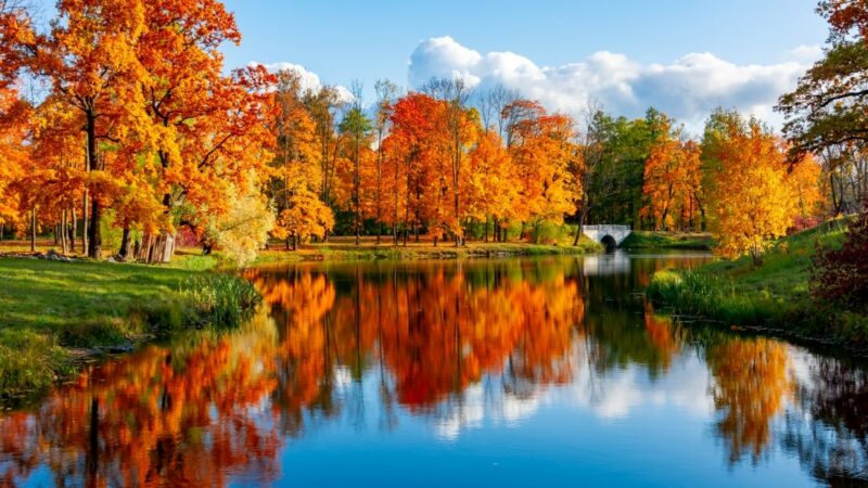 Autumn Camping: 10 Great Places to go RVing in Fall