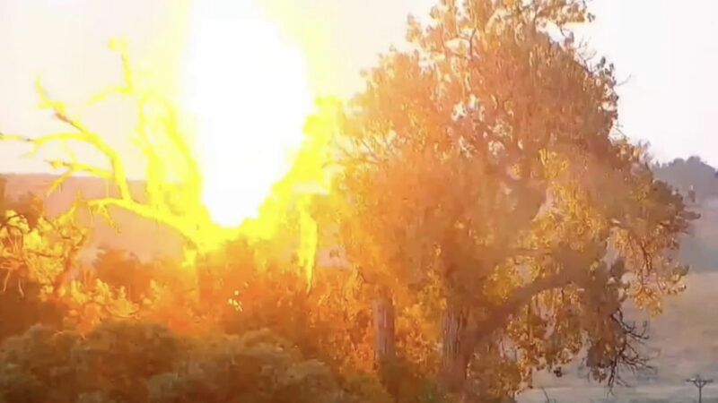 Caught on Trail Cam: Lightning Strikes Eagle’s Nest in Colorado