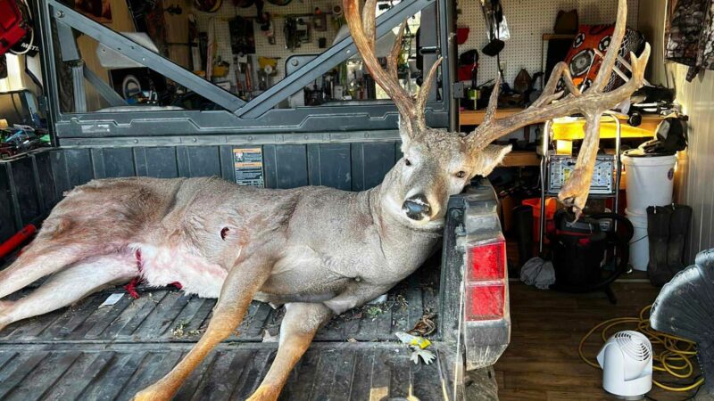 Crossbow Hunter Tags Legendary Kentucky Buck in Daniel Boone National Forest 