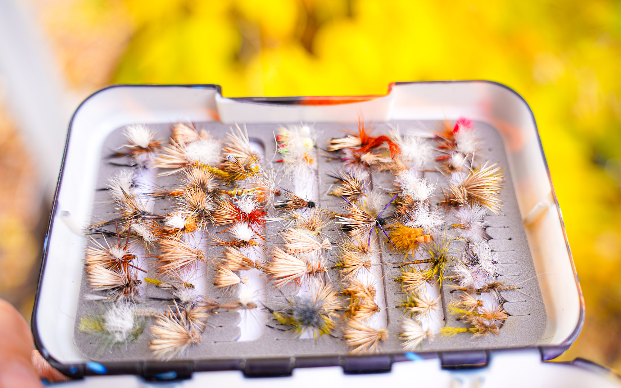 A fly box full of trout flies.