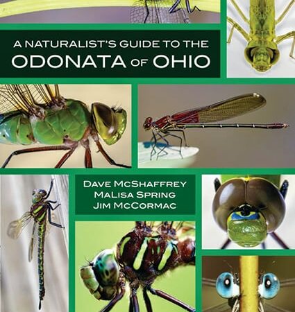 Dragonflies and more detailed in new tome from Ohio writers – Outdoor News