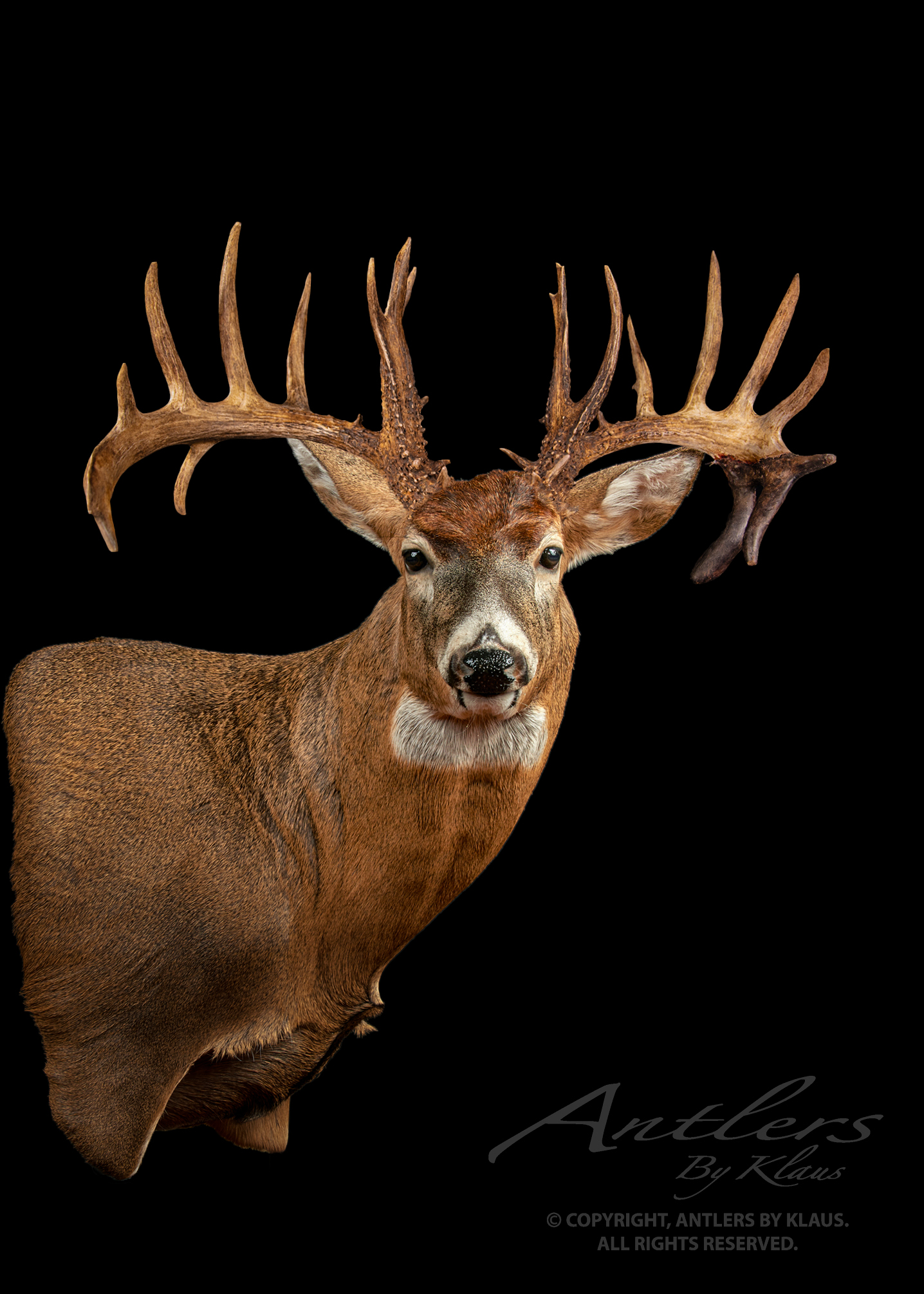 handeland buck