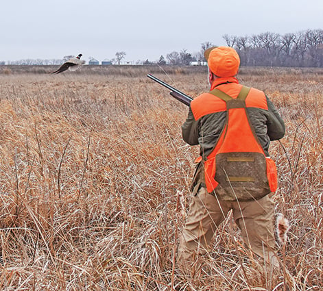 Grasslands bill revitalized, introduced in U.S. House – Outdoor News