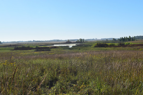 Hanlontown Slough’s prairie and wetlands attract wildlife and hunters to Iowa’s Worth County – Outdoor News