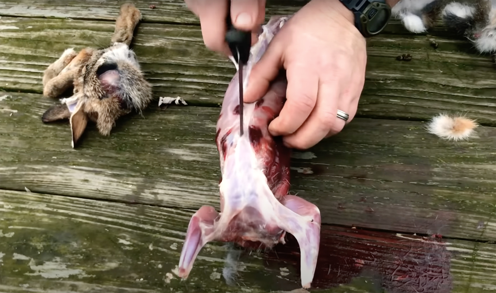 Hands clean a rabbit carcass with a knife on a wooden surface.