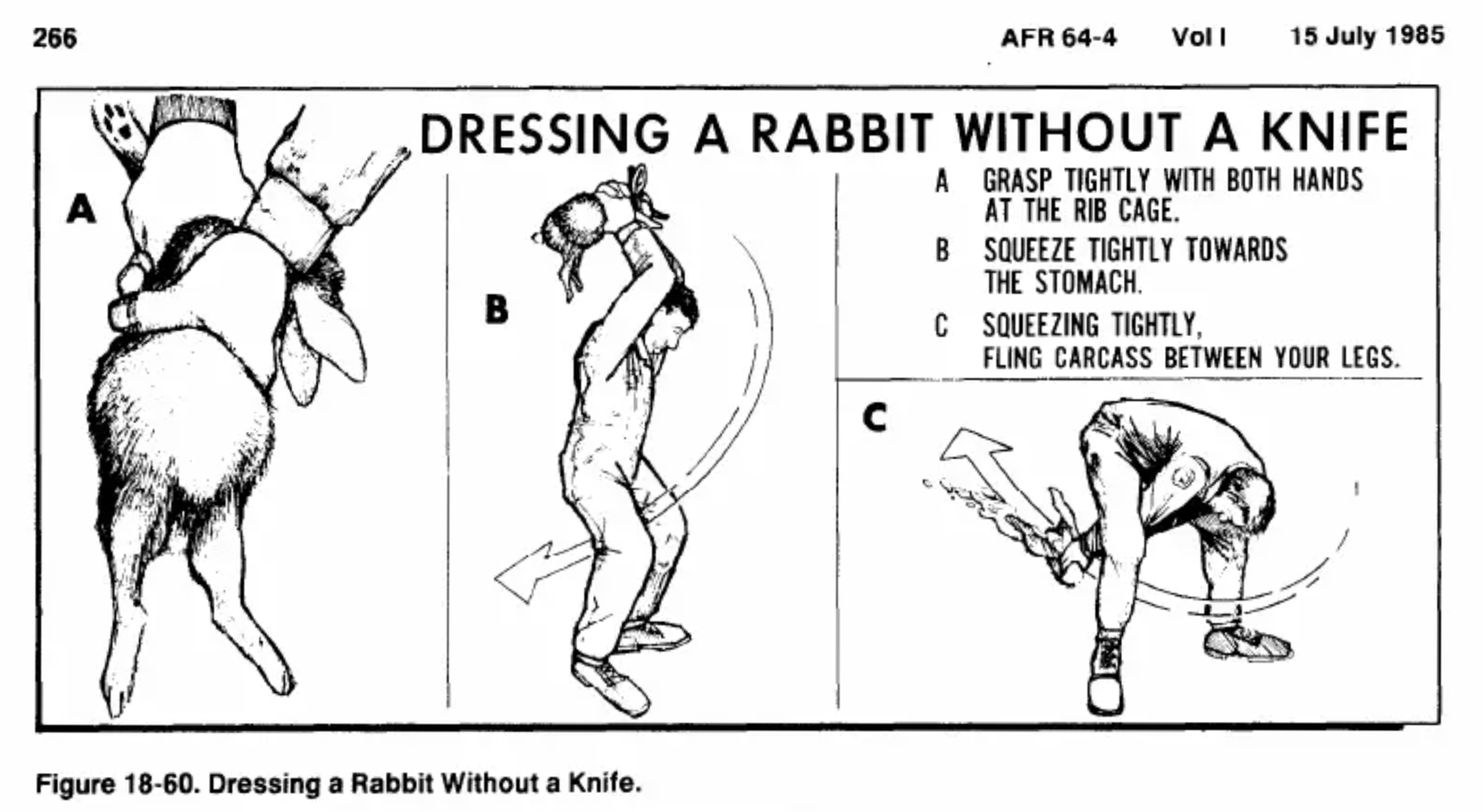 A textbook page with illustrations of an Air Force pilot skinning a rabbit without a knife.