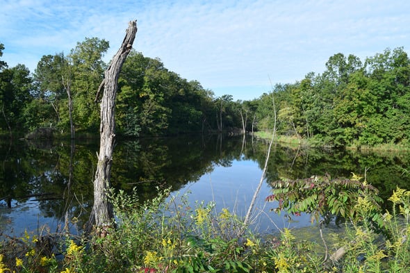 Iowa’s newest wildlife area, Bell Branch, is open for visitors in Davis County – Outdoor News