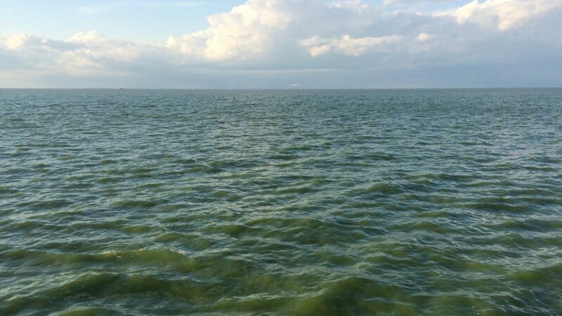 Lawsuits hoped to get to bottom of Lake Erie’s algae conundrum – Outdoor News