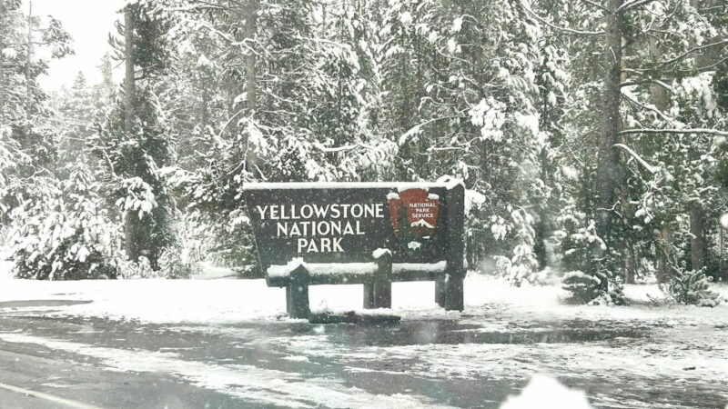 ‘Majestic Display’: Fall Snowstorm Blankets Yellowstone