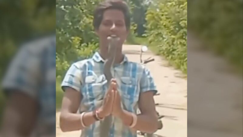 Man Puts Cobra in Mouth for Bizarre Social Media Stunt, Then Dies