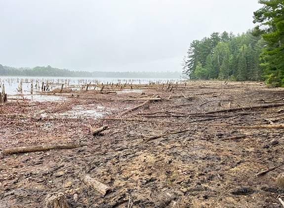 Michigan’s Cornwall Flooding drawn down to meet safety standards – Outdoor News