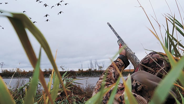 MN Daily Update: How many spinning-wing decoys should I use in my duck-hunting spread? – Outdoor News