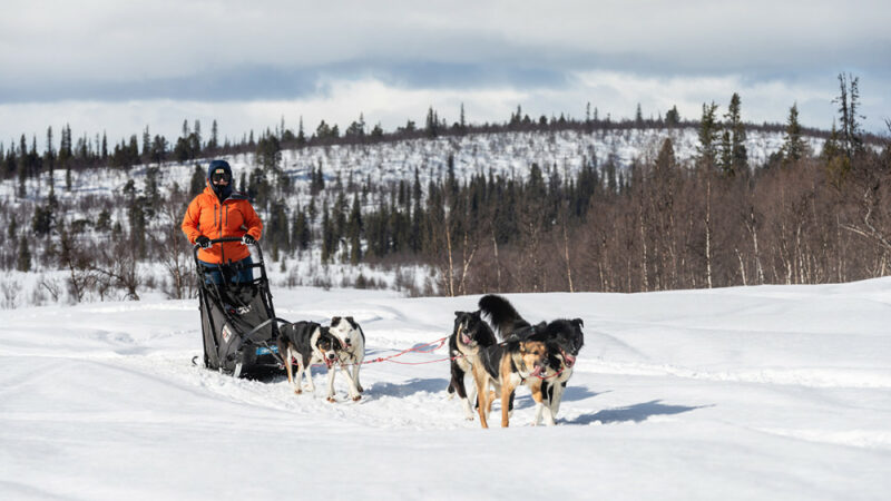 On Fjällräven’s Polar, Anyone Can Be an Arctic Explorer