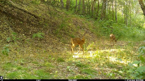 Outdoor Research at the U: Caught on Camera