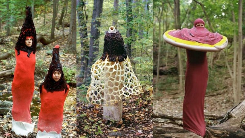 Photos of People Dressed Like Mushrooms Are Hilariously Bizarre