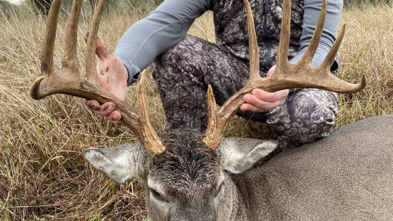 Podcast: Secrets of GPS Collared Bucks with Dr. Bronson Strickland