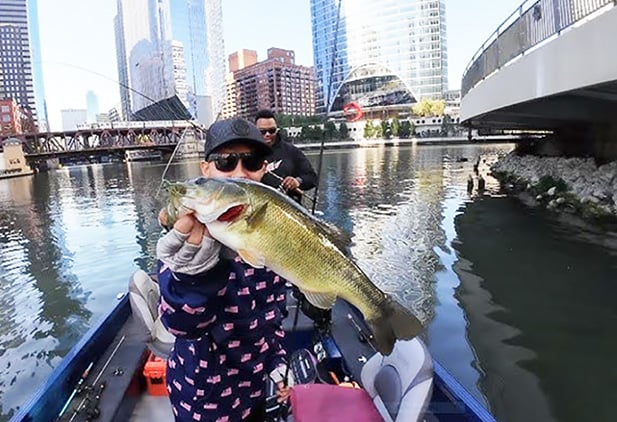 Research shows largemouth bass are at home in Chicago River boat slip – Outdoor News