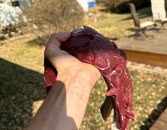 Ryan Rothstein: Tips for venison care when the heat rises – Outdoor News