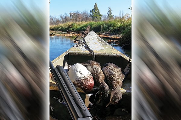 Steve Carney: A Minnesota duck update, and a bad experience in the deer blind – Outdoor News