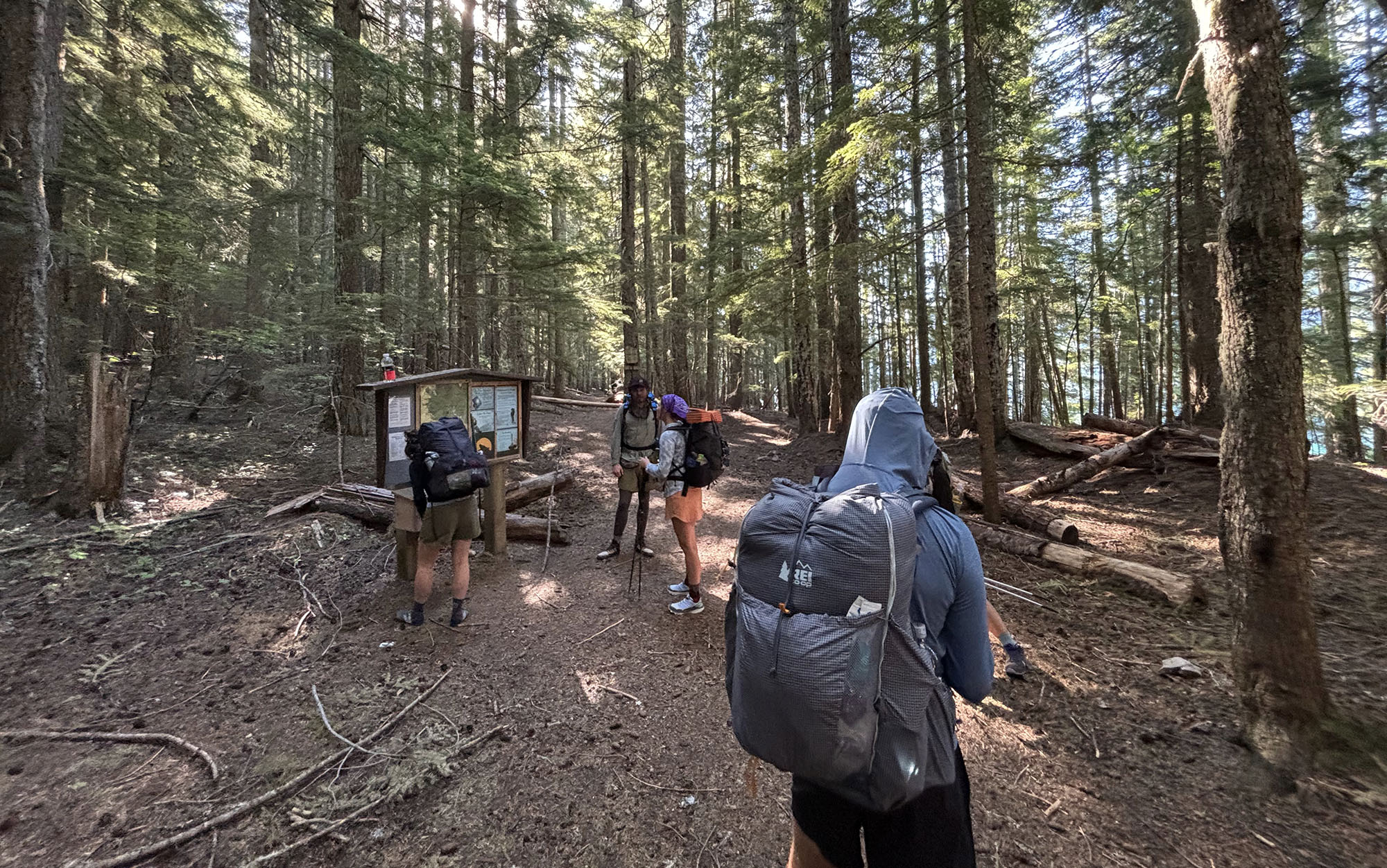 a group of backpackers standing at a trailhead in the woods