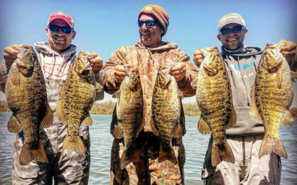 Three anglers showing off Pickwick Lake's impressive smallmouth. Alabama Bass Guide