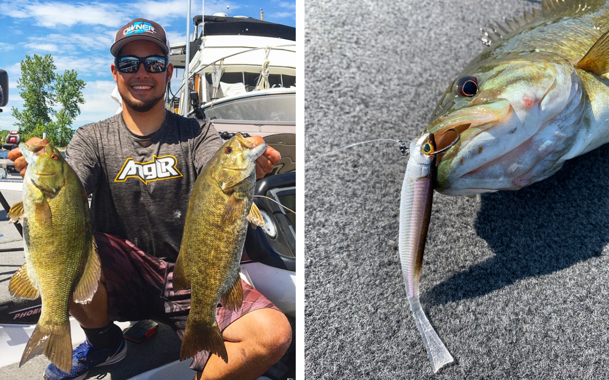 The author with two nice Lake Champlain smallmouth (left), and a smallmouth caught on a hover-strolling rig (right)