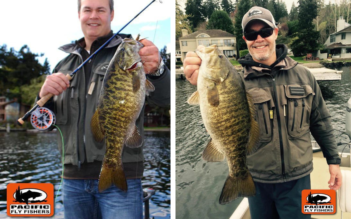 Two anglers with smallmouth caught on fly fishing setups in Lake Washington. Pacific Fly Fishers