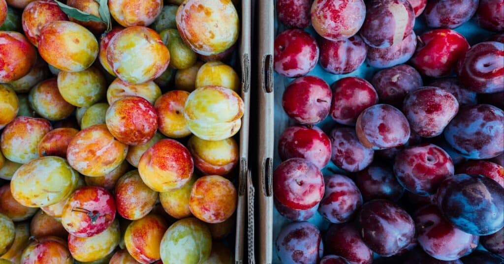 Produce at a farmers market