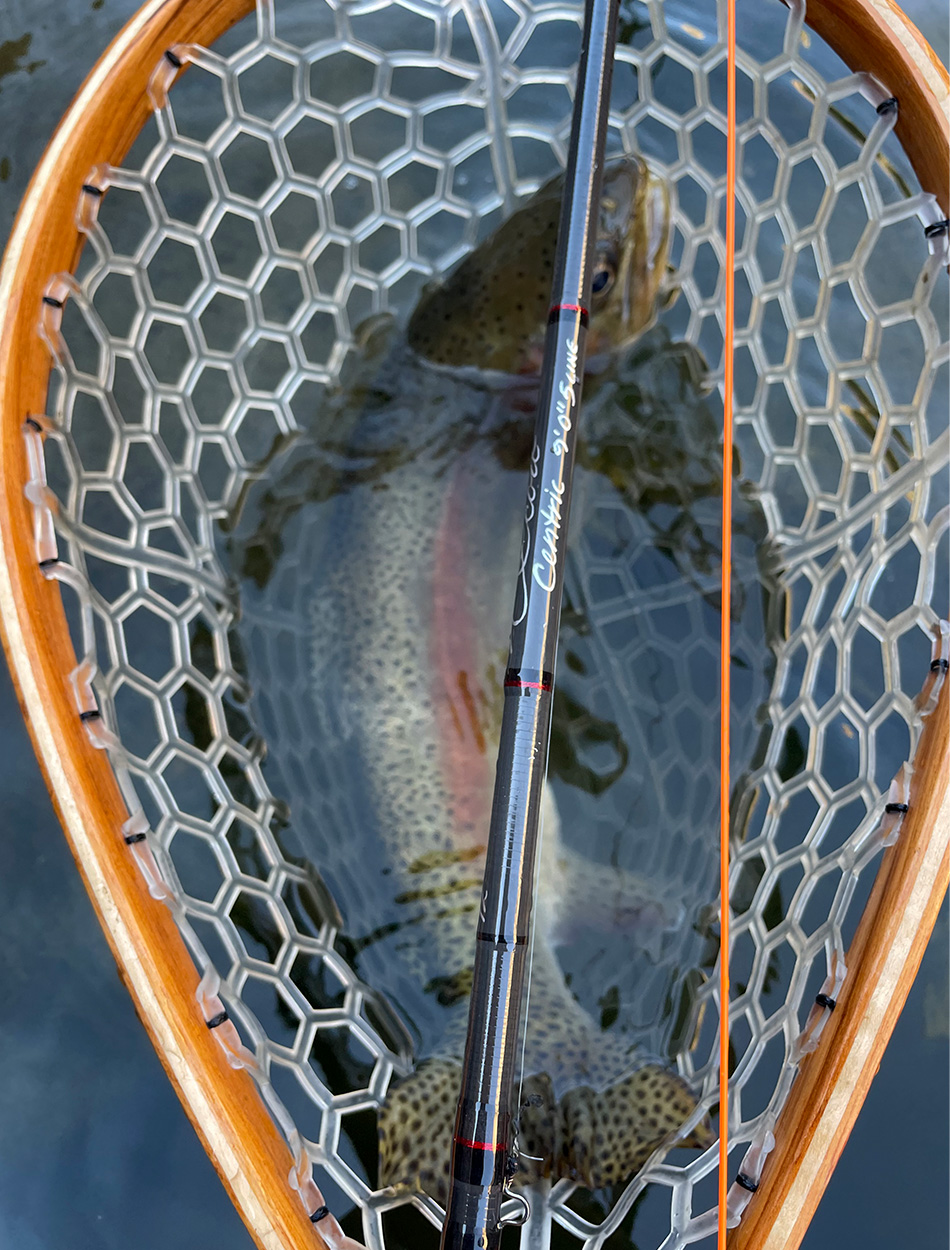 This image has an empty alt attribute; its file name is fly_rods_trout_2024_centric_fish_in_net.jpg