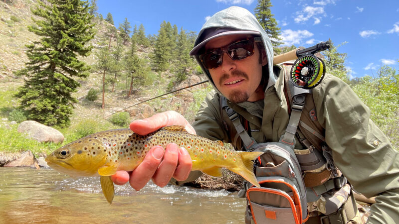 The Best Trout Fly Rods of 2024, Tested and Reviewed