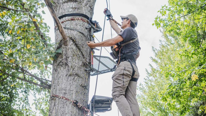 Video: Testing the Best Treestand Height for Bowhunting