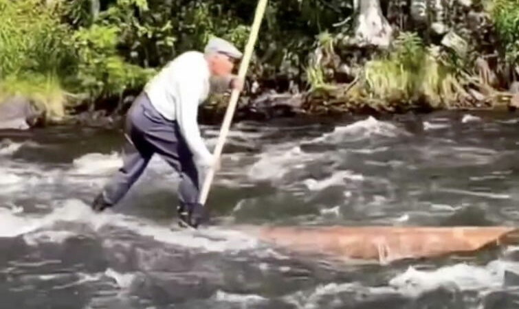 Viral Video: ‘Grandpa’ Rides Log Down Raging River