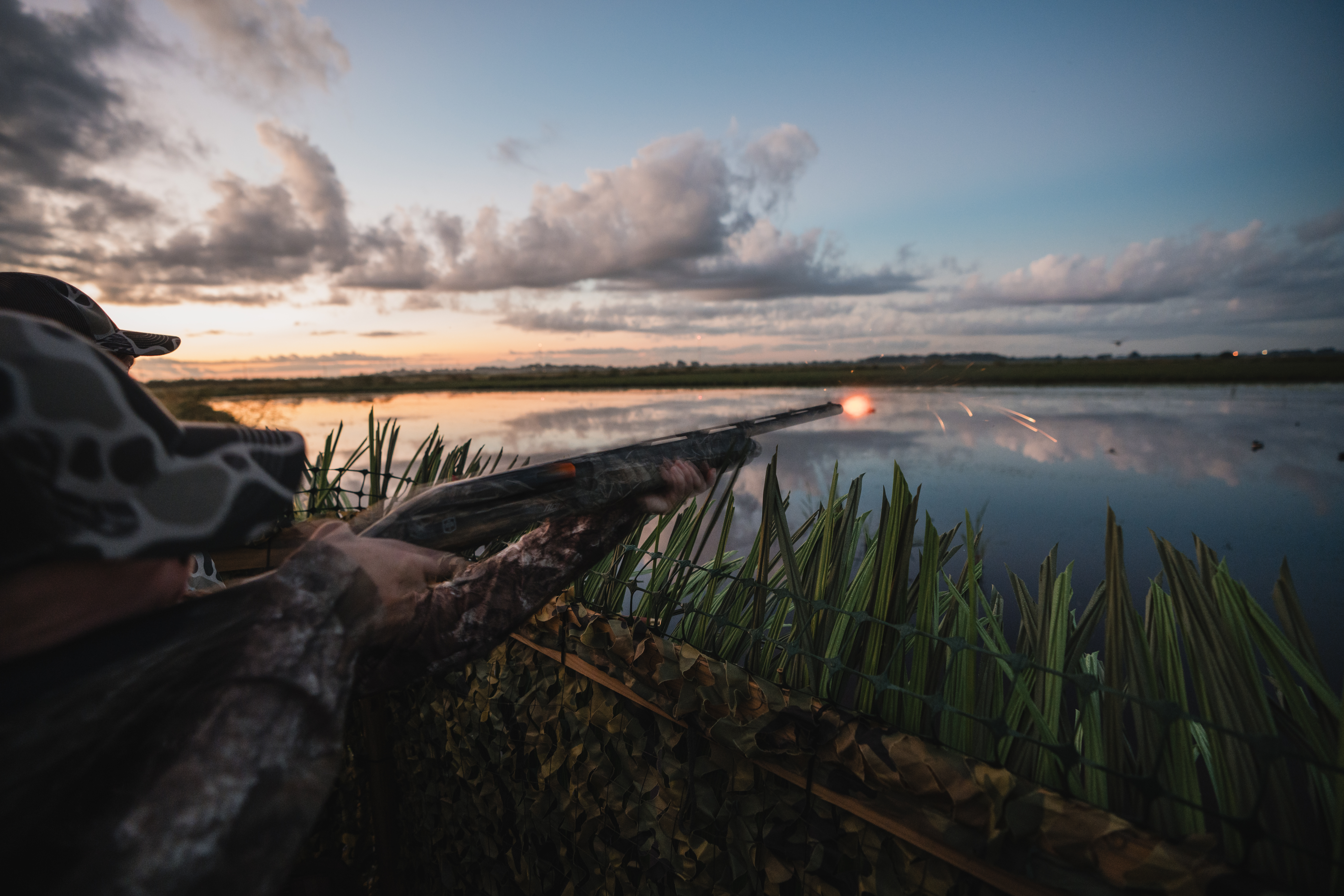 A duck hunter shoots at a landing teal at sunrise.