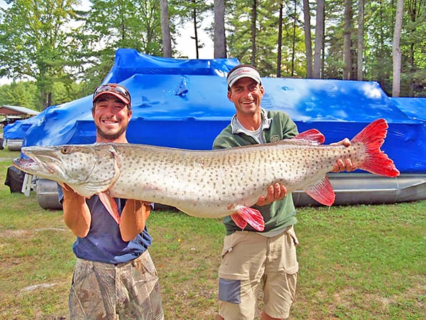 When it comes to muskie fishing in Michigan, the ‘good ol’ days’ are now – Outdoor News