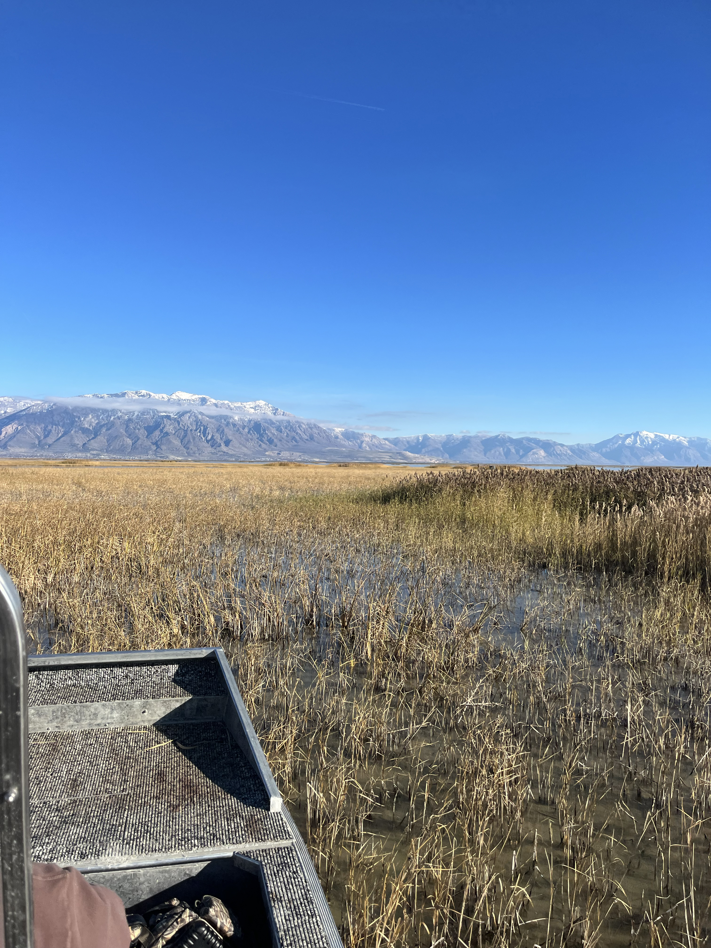 The airboat coasts on marsh.