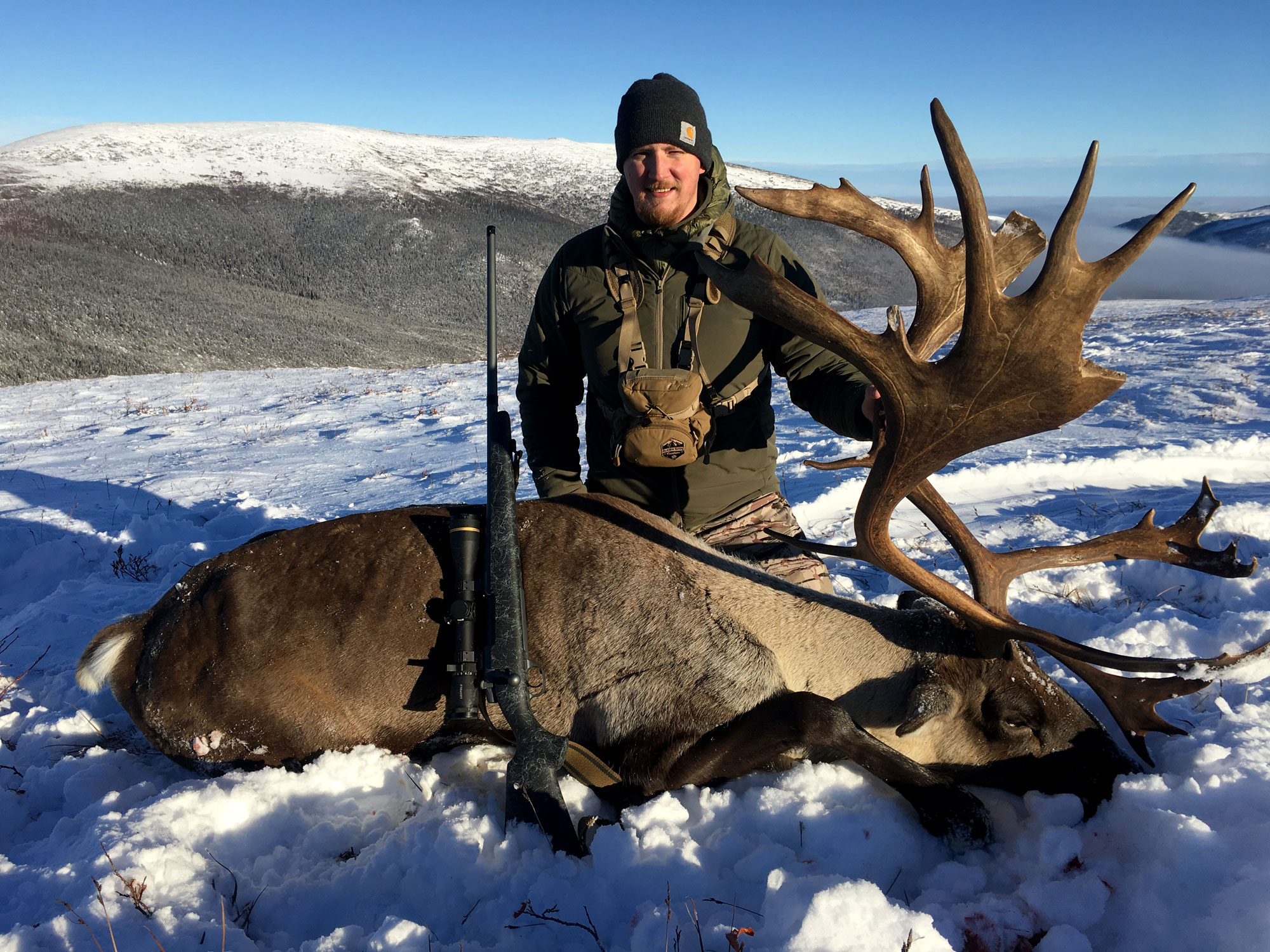 Freel with caribou 300 Weatherby Magnum