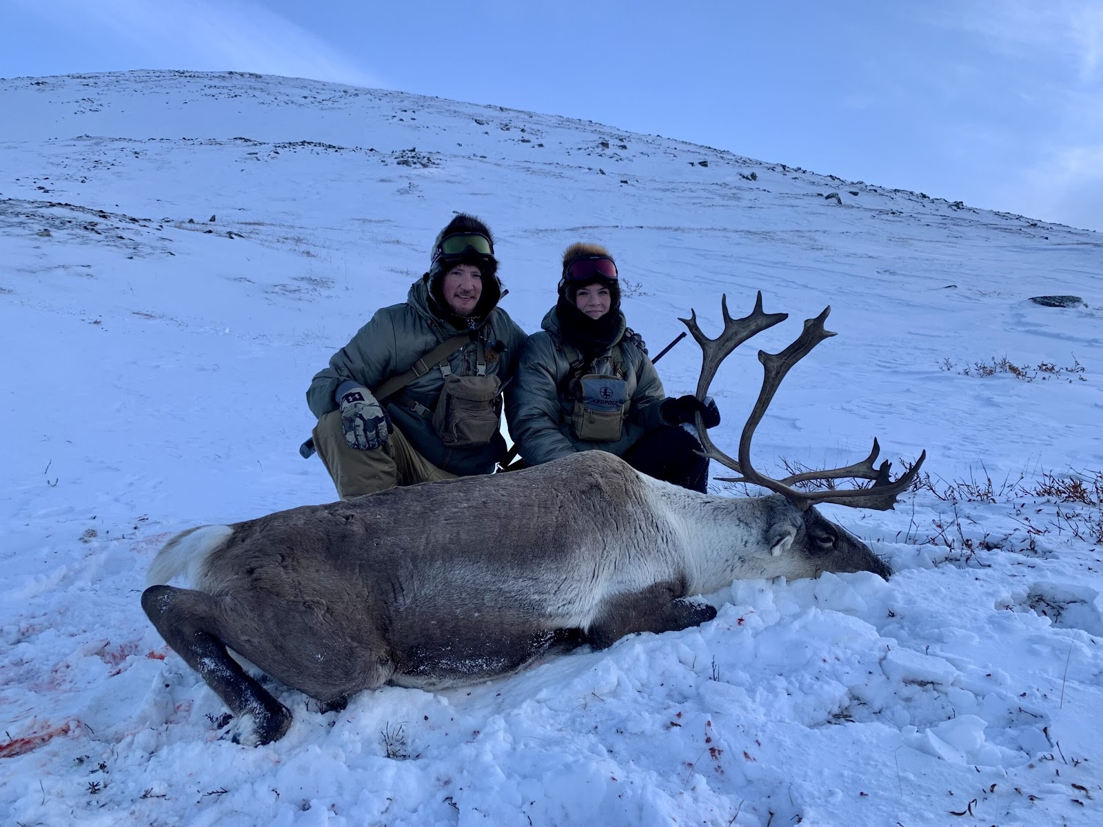 caribou taken with 6.5 Creedmoor