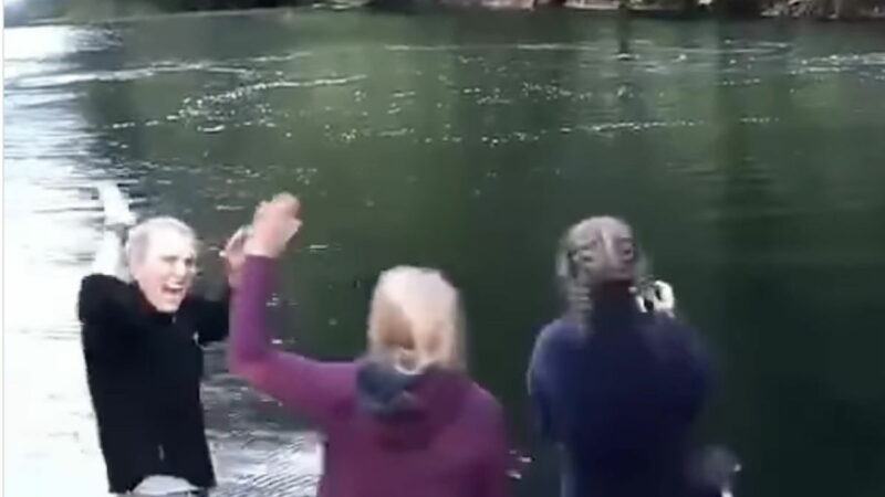 Women Freak out Over Seeing Humpback Whales up Close