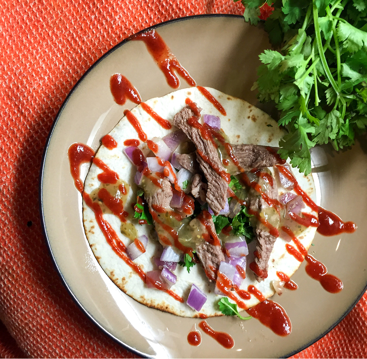 A plated mountain lion fajita.