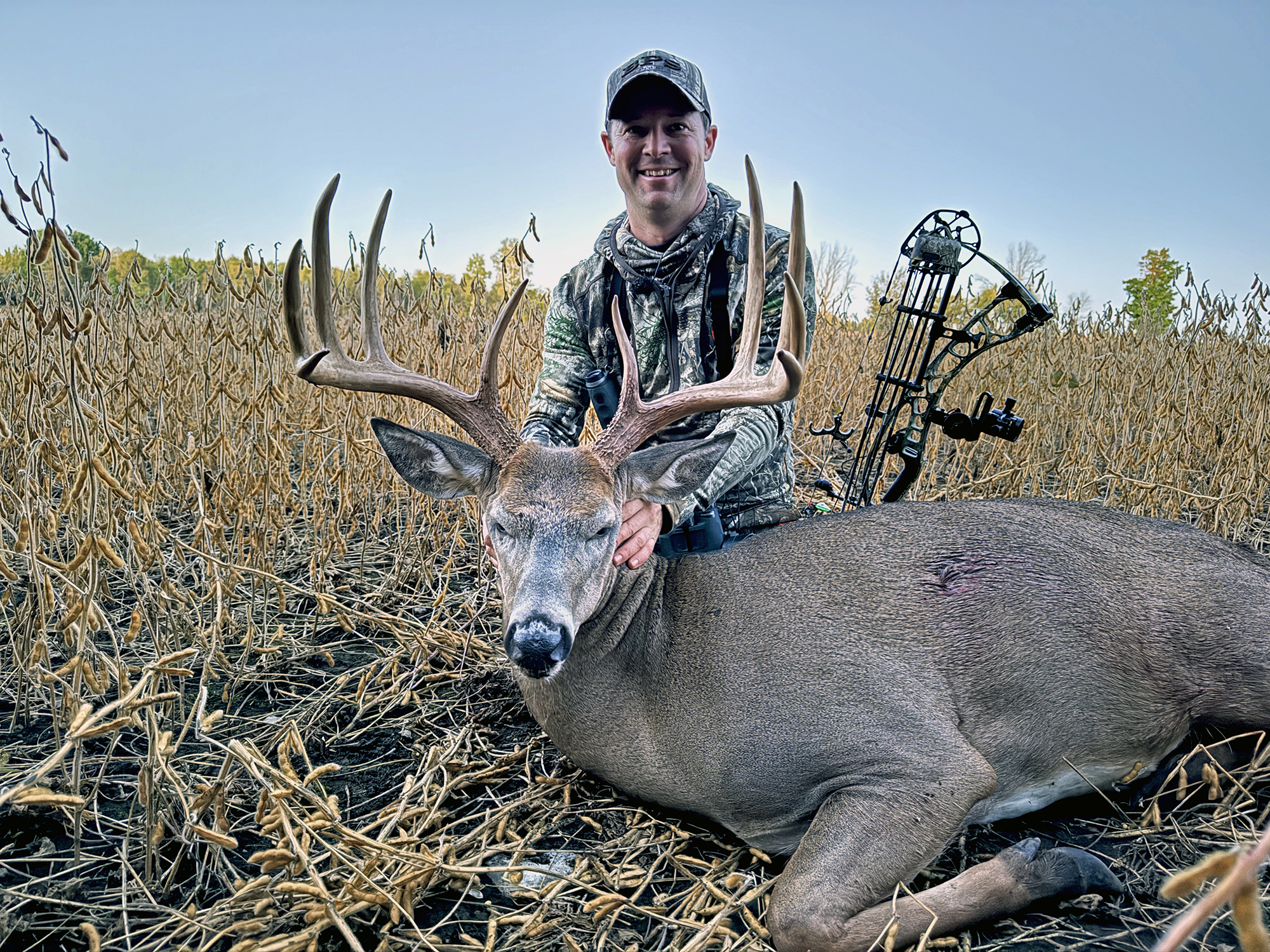 whitetail buck