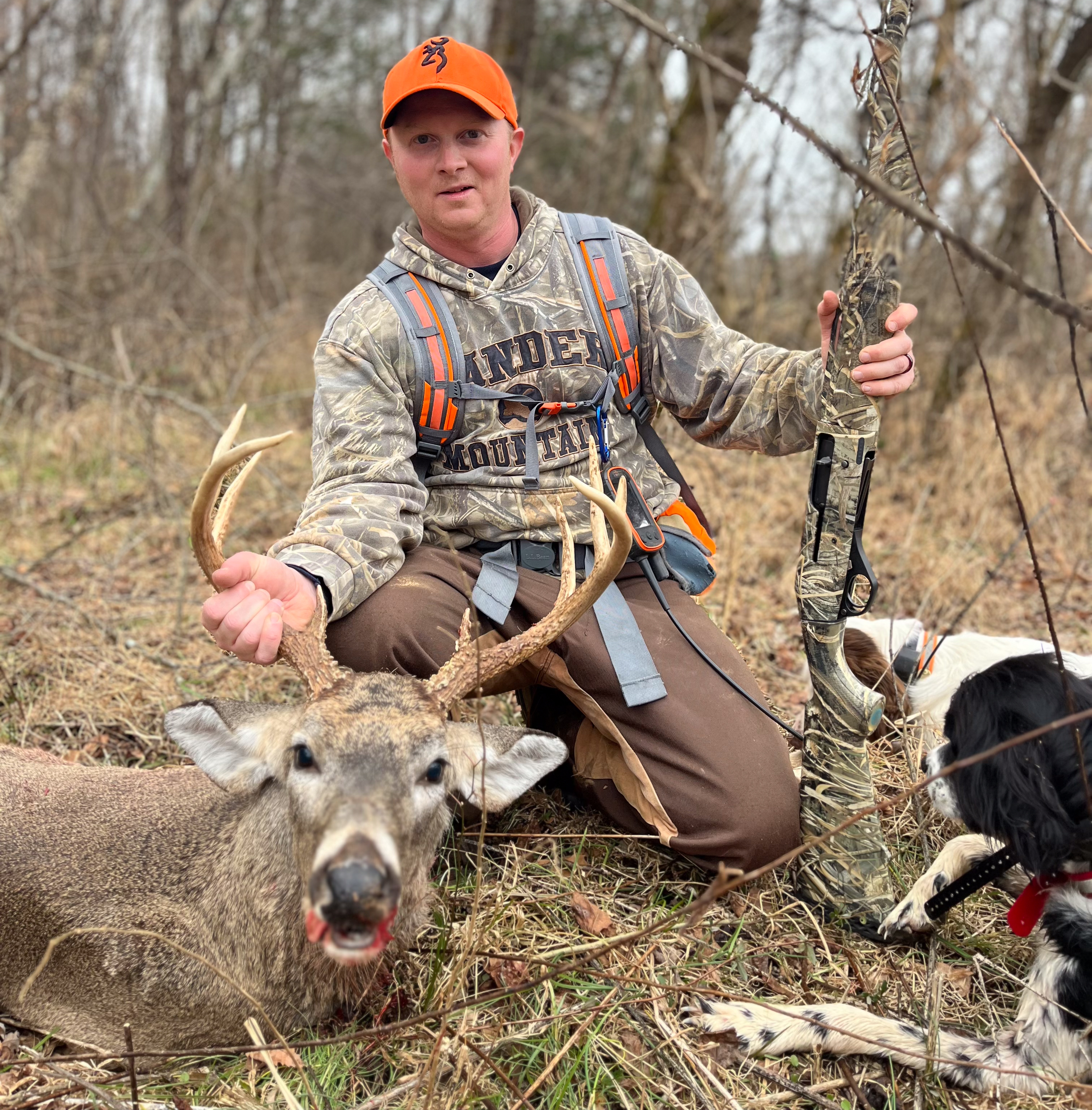 A hunter with dogs and a deer.