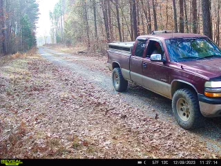 A trail camera photo.