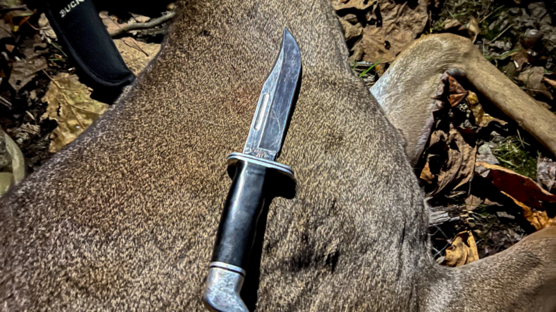 An Ode to the Buck Knife, the Only Deer Gutting Blade I’ll Ever Need